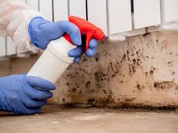 Mold Remediation for Vacation Homes in Colorado City, AZ